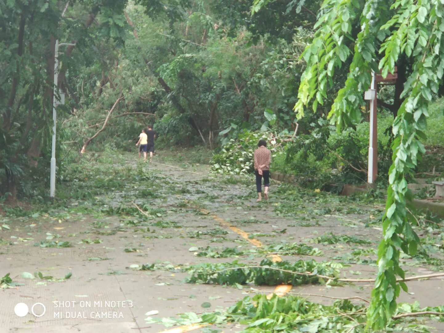 影像測量儀|二次影像測量儀|三次影像測量儀|平面度影像測量儀|影像測量設(shè)備